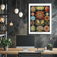 Vintage Scientific Illustration of Sea Squirts Animal Poster PosterGoat