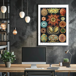 Vintage Scientific Illustration of Sea Squirts Animal Poster PosterGoat