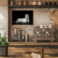 White Tiger Majesty On Rugged Surface Animal Poster PosterGoat