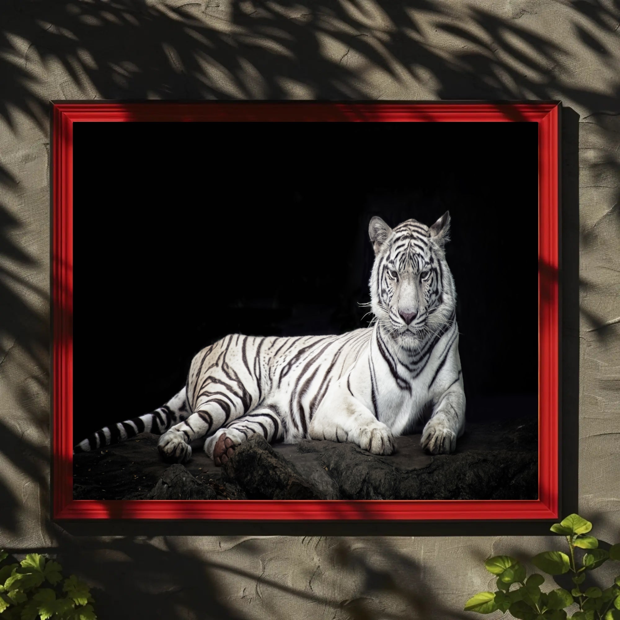 White Tiger Majesty On Rugged Surface Animal Poster PosterGoat