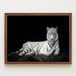 White Tiger Majesty On Rugged Surface Animal Poster PosterGoat