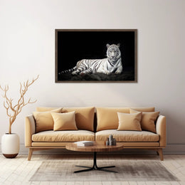 White Tiger Majesty On Rugged Surface Animal Poster PosterGoat