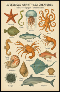 Zoological Chart of Vintage Sea Life Educational Poster PosterGoat