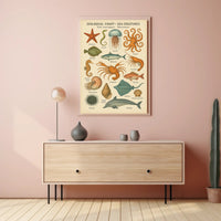 Zoological Chart of Vintage Sea Life Educational Poster PosterGoat