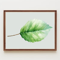 Verdant Serenity Poster