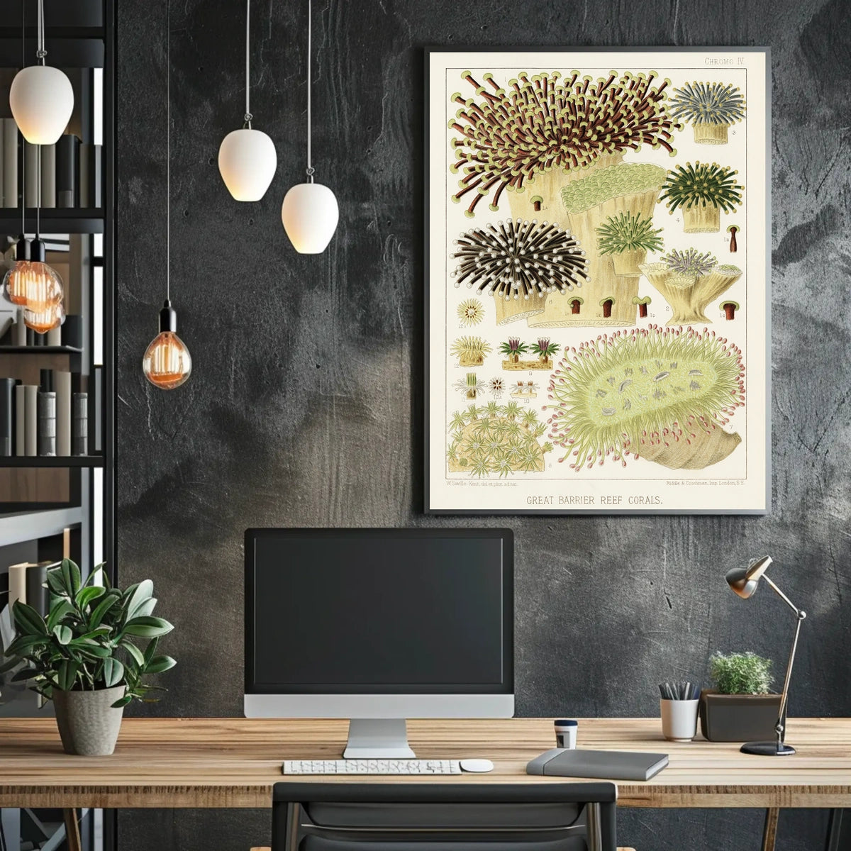 Great Barrier Reef Corals Poster