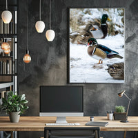 Winter Serenity Ducks In Snow Poster