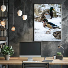 Winter Serenity Ducks In Snow Poster