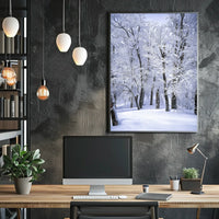 Winter Wonderland Poster