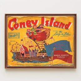 Coney Island Adventure Poster