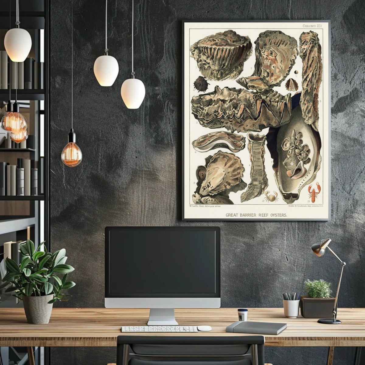 Great Barrier Reef Oysters Poster
