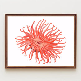 Vibrant Sea Anemone Modern Art Poster Print