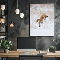 Red Fox Leaping in Snow Animal Poster