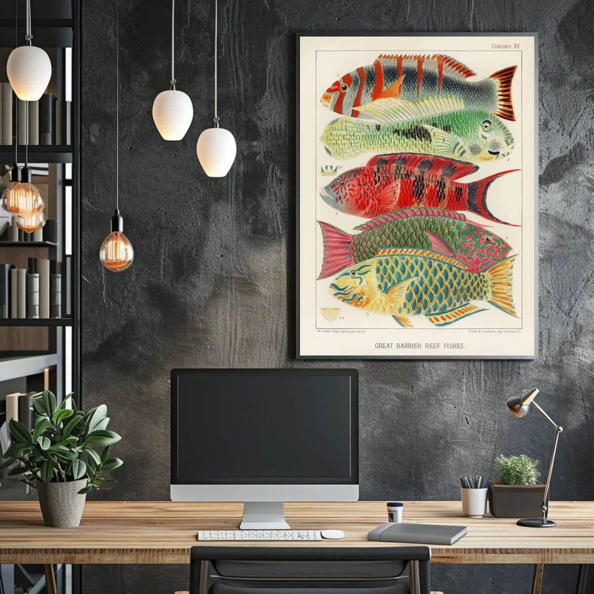 Great Barrier Reef Fishes Poster