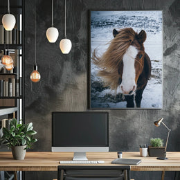 Majestic Icelandic Horse in Winter Animal Poster