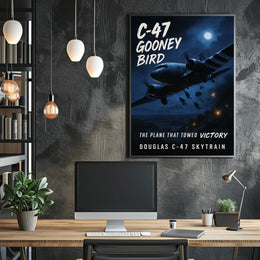 C-47 Gooney Bird Poster
