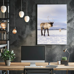 Winter Wilderness Majestic Reindeer Poster