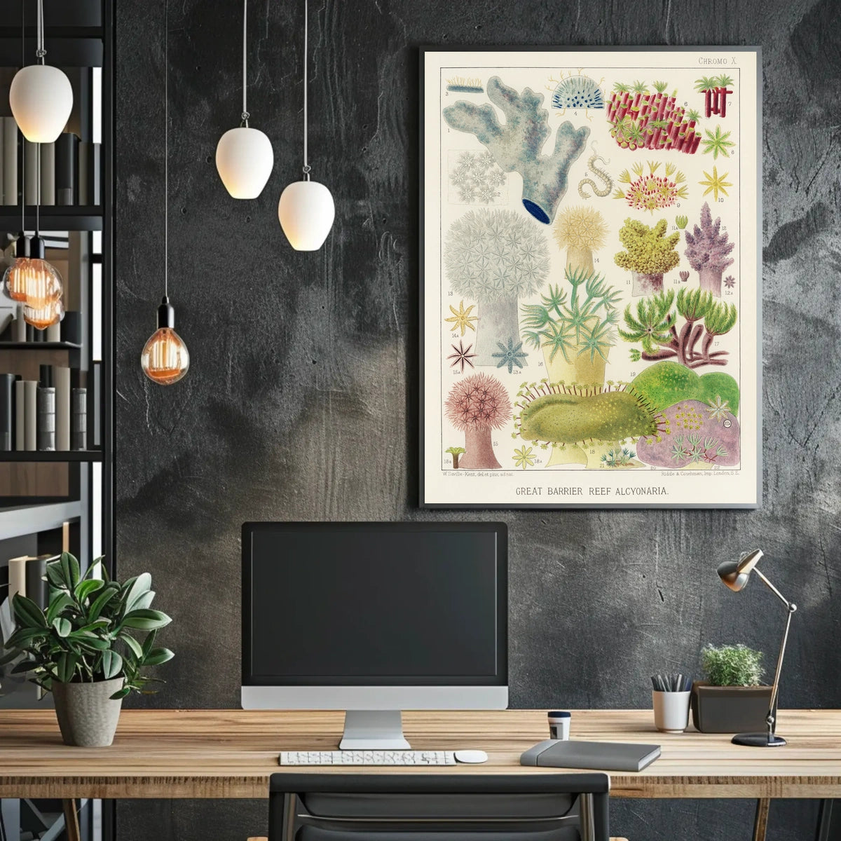 Great Barrier Reef Alcyonaria Poster