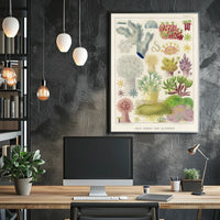 Great Barrier Reef Alcyonaria Poster