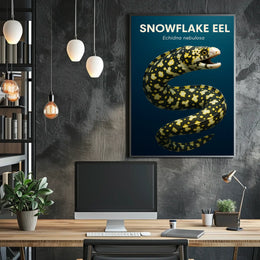 Snowflake Eel Echidna nebulosa Poster