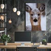 Winter Wonder Poster