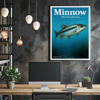 Minnow - Phoxinus phoxinus Poster PosterGoat