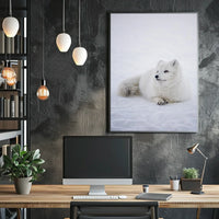 Serene Arctic Fox Tranquility Animal Poster