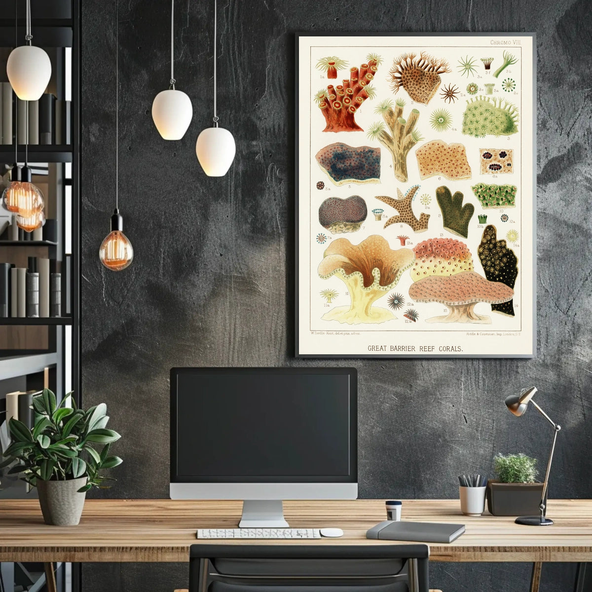 Great Barrier Reef Corals Poster