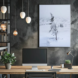 Solitary Snow-Covered Tree Poster