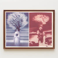 Contrasting Visions Poster