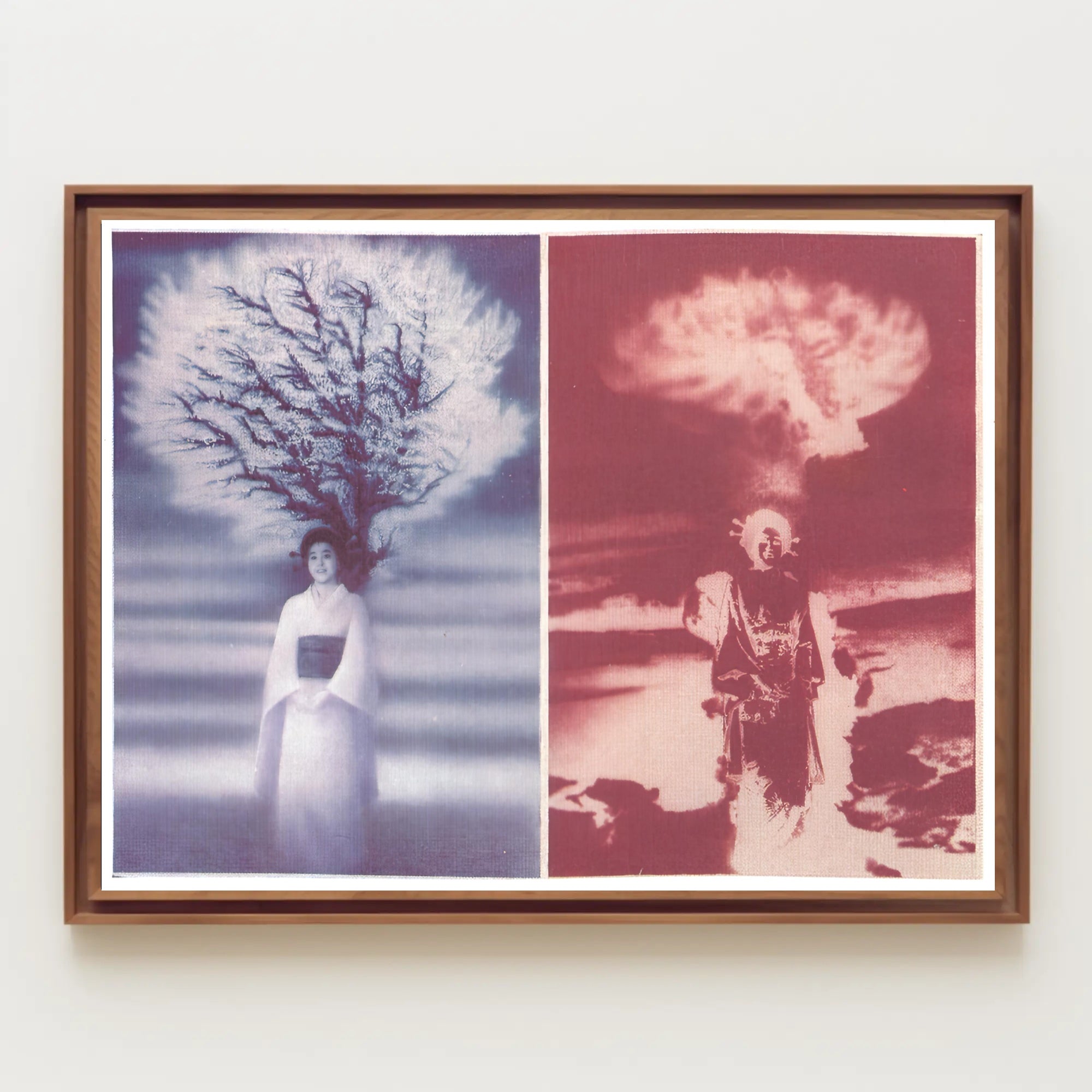 Contrasting Visions Poster