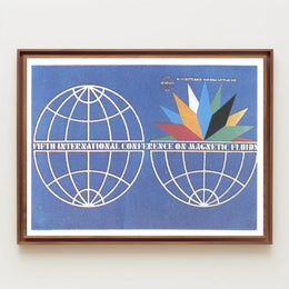 Fifth International Conference on Magnetic Fluids Poster