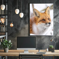 Red Fox in Winter Wonderland Animal Poster