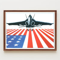 Patriotic Flight Poster