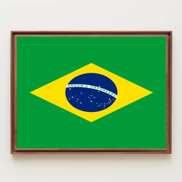 Brazil Flag Poster