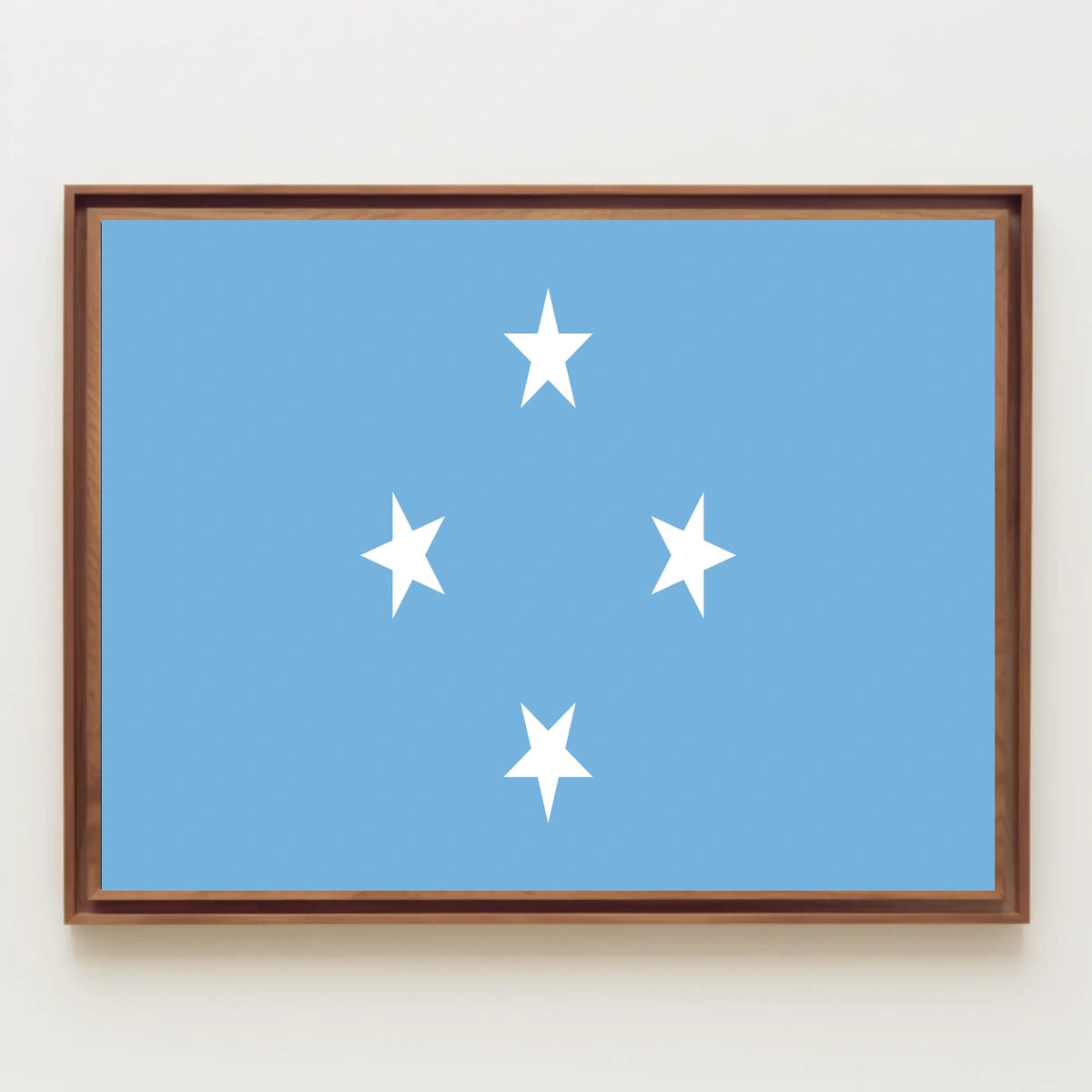 Micronesia, Federated States of Flag Poster