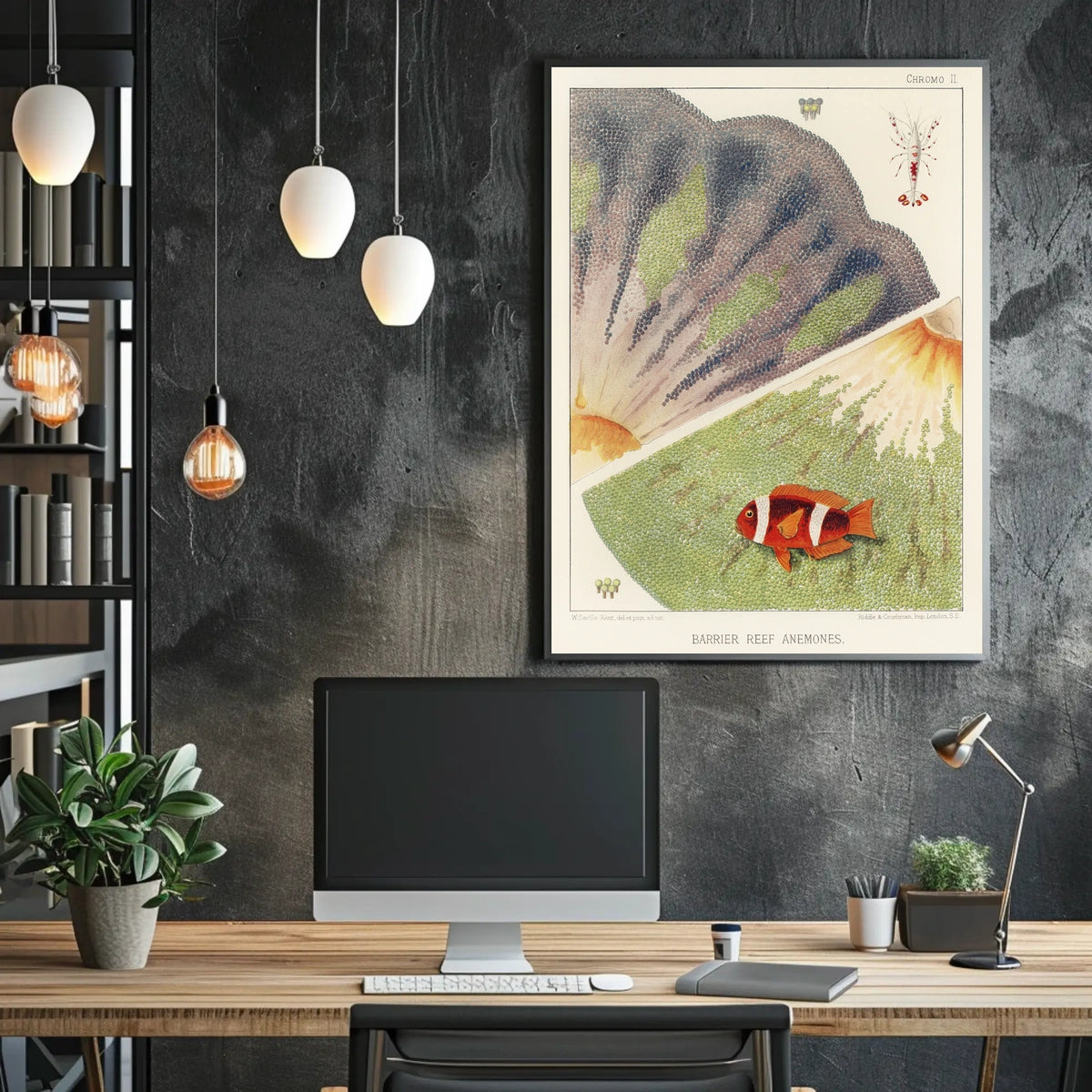 Barrier Reef Anemones Poster