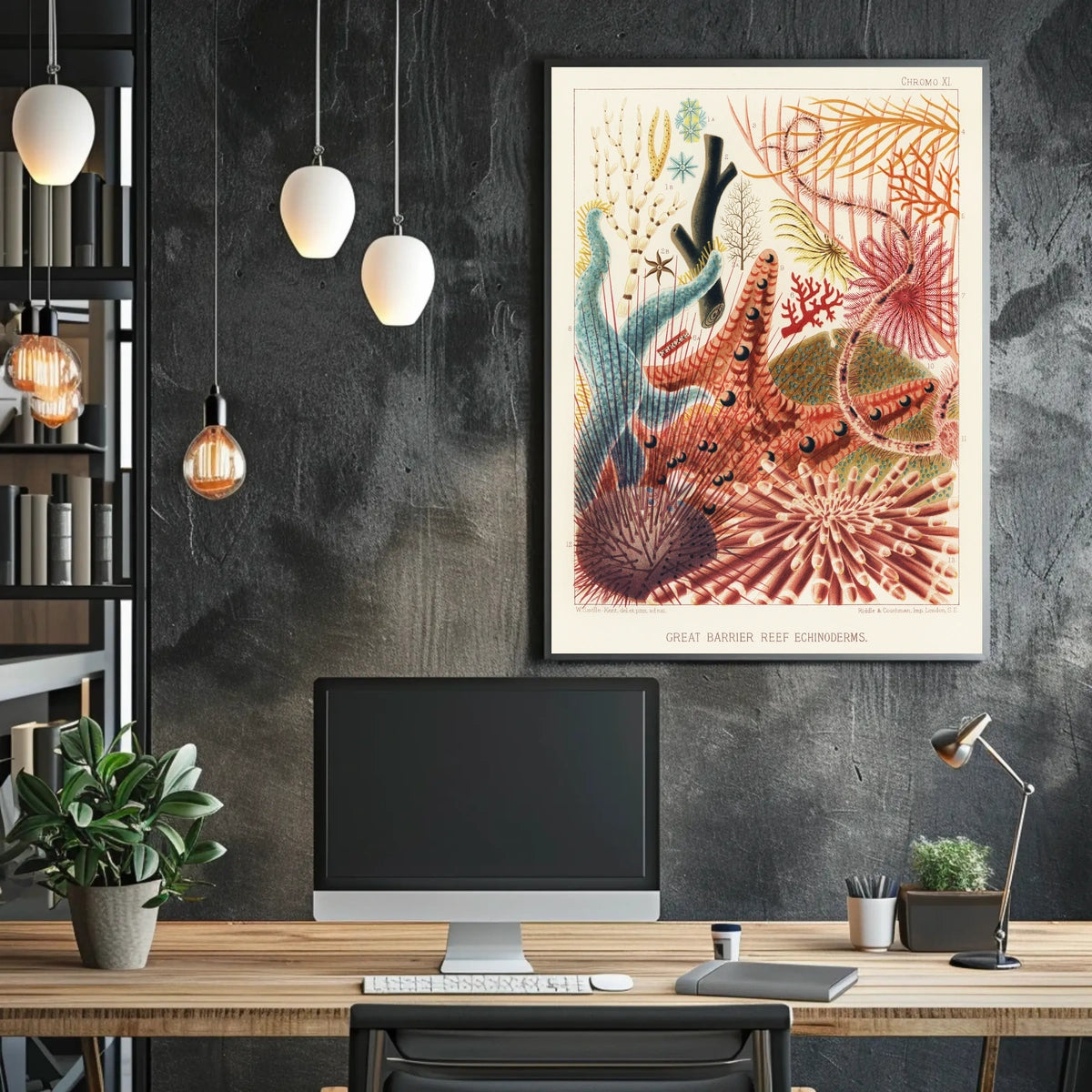 Great Barrier Reef Echinoderms Poster