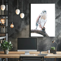 Majestic Hawk On A Snowy Branch Poster