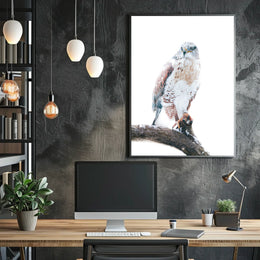 Majestic Hawk On A Snowy Branch Poster