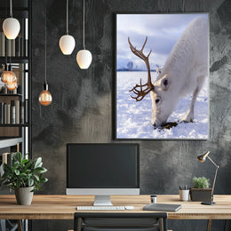 Majestic Reindeer In Snow Poster