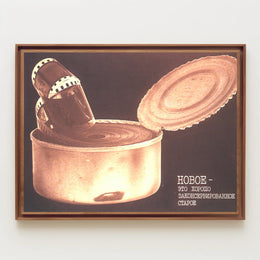 Preserved Memories Poster