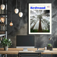 Redwood National Park Scenic Poster Wall Art Print