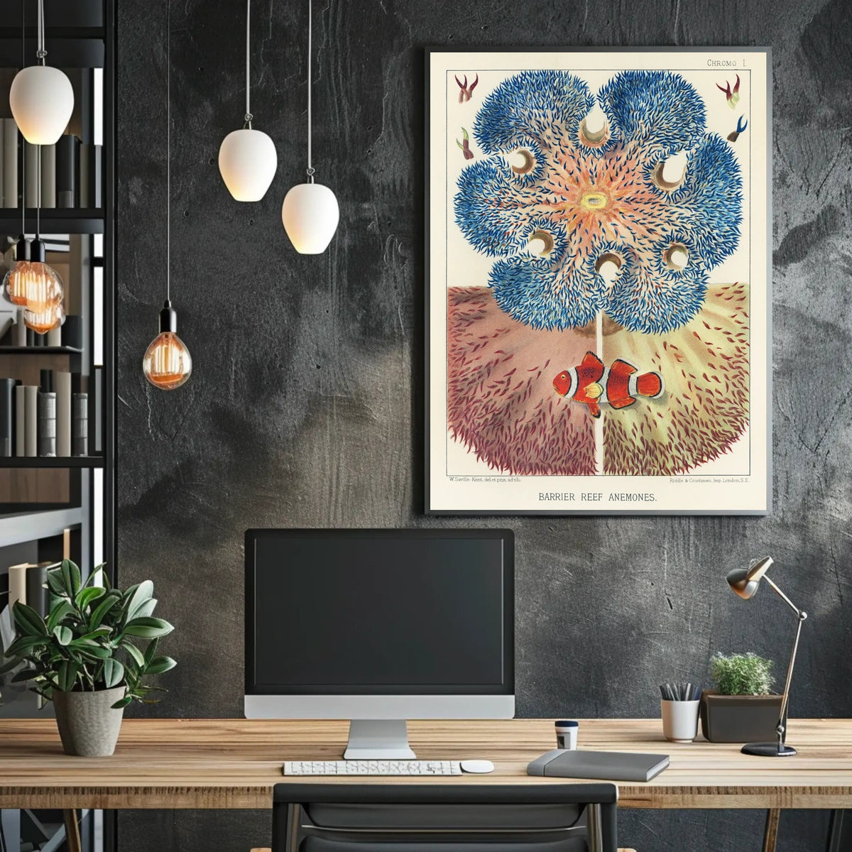 Barrier Reef Anemones Poster