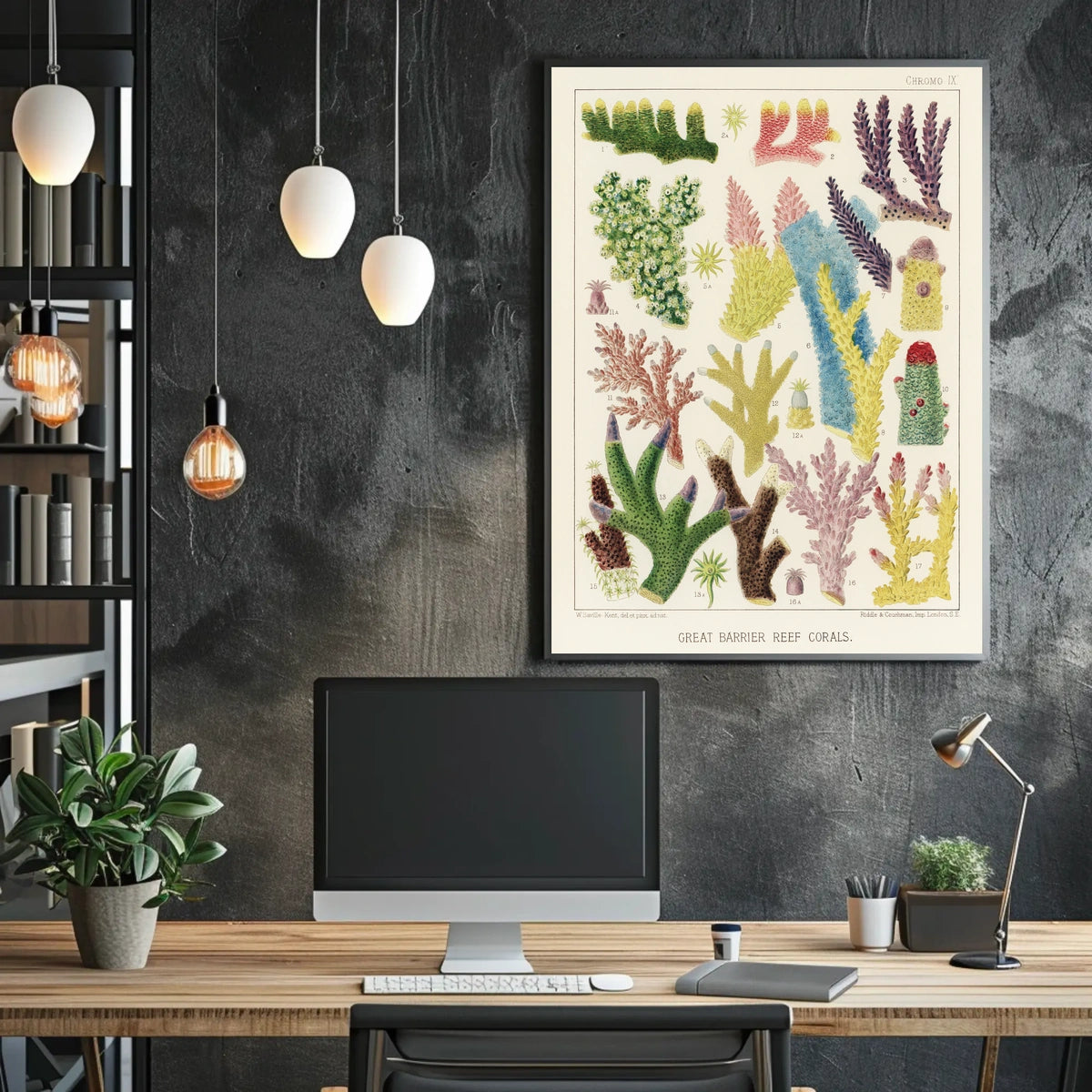 Great Barrier Reef Corals Poster