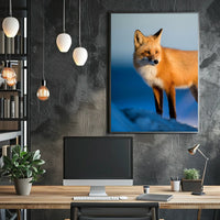 Majestic Fox In The Wild Poster