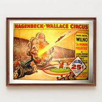 Hagenbeck-Wallace Circus – Daredevil Wilno Poster
