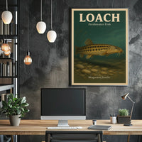 Loach Freshwater Fish Poster
