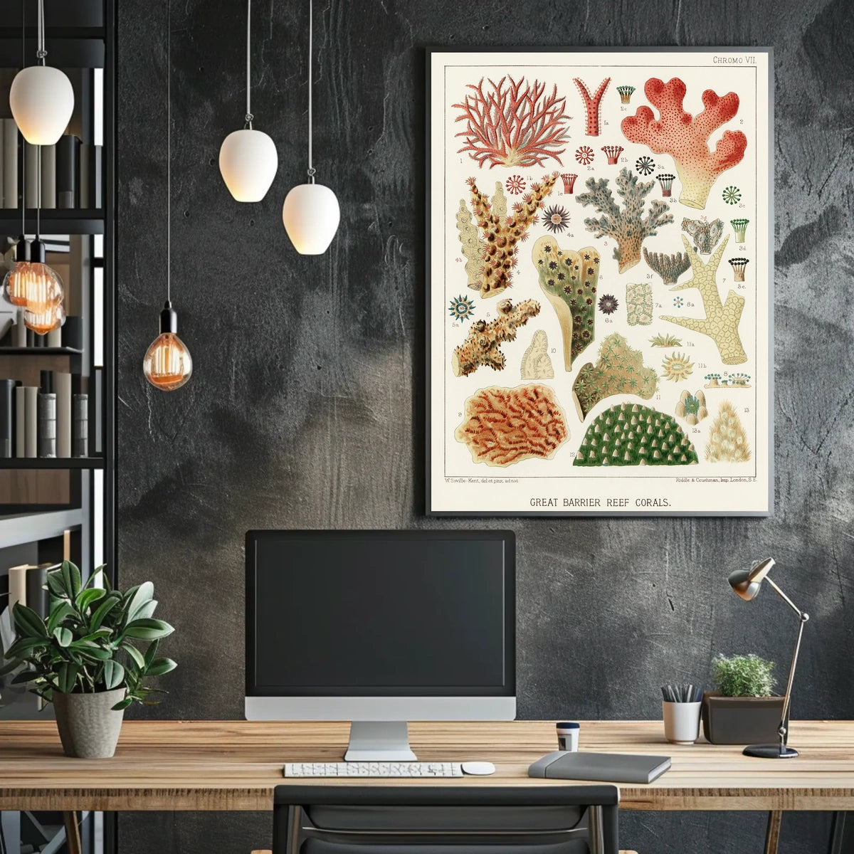 Great Barrier Reef Corals Poster