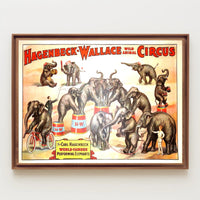 Hagenbeck-Wallace Wild Animal Circus Poster